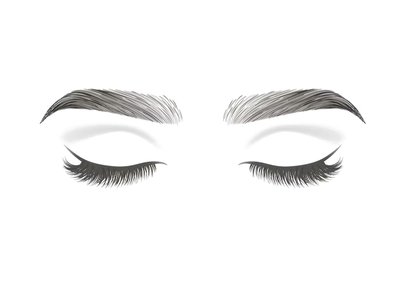 Ilustración de cejas y pestañas con ojos cerrados